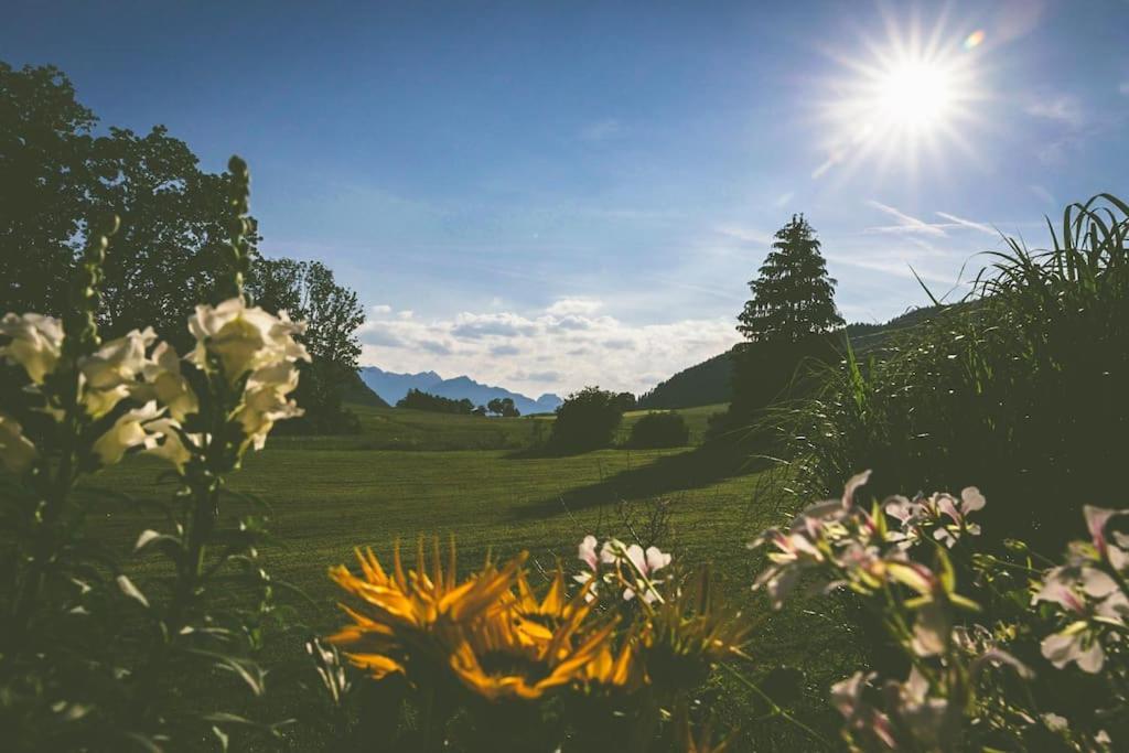 Fritzis Alpenidyll „Sommertraum & Winterromantik” Samerberg Kültér fotó
