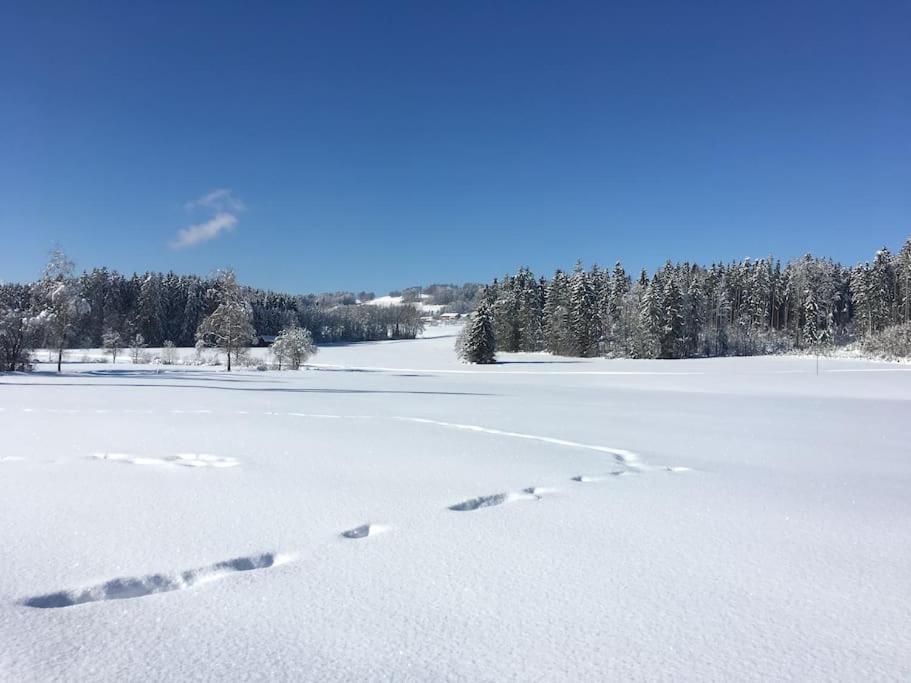 Fritzis Alpenidyll „Sommertraum & Winterromantik” Samerberg Kültér fotó